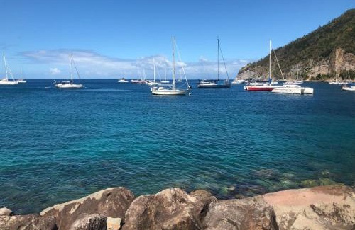 Deshaies House | Au Sable D'Or - Spa - WIfi- Piscine