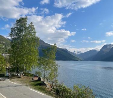 Aurland Apartment | Aurland Stegastein Apartment