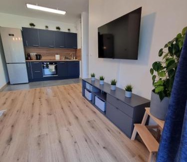 Oswiecim Apartment | Aurum Apartment