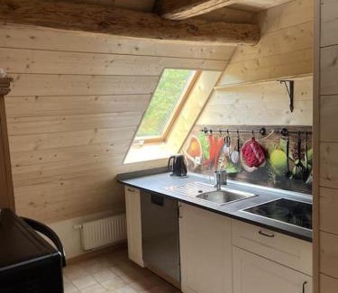 Triberg im Schwarzwald Apartment | Auszeit am Kreisbach