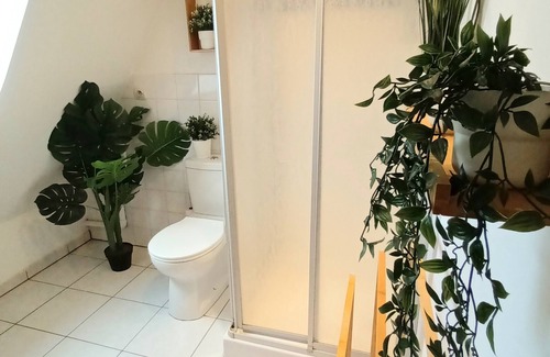 Soultz-Haut-Rhin Apartment | Authentic