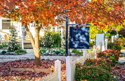 Bright Cottage | Autumn Beauty - Country Cottage 7
