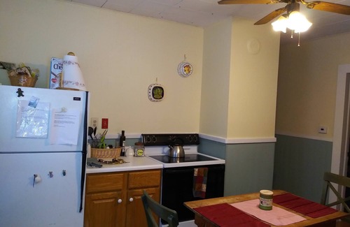 Lanesborough Apartment | Available for Winter Rental, Healthcare, Central