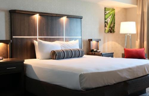 Laughlin Resort | Avi Resort & Casino