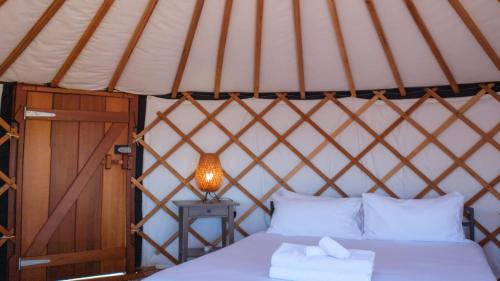 Palm Beach House | Awaawa Yurts - Papatūānuku