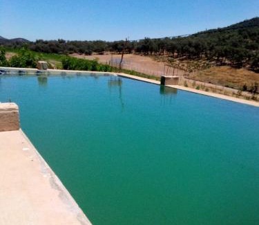 Aguelmous Other | AYA Farm,Ferme d'hotes Aguelmous