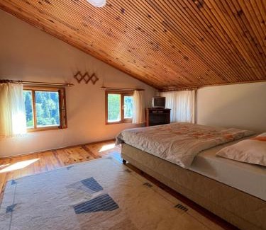 Ayder Yaylasi Apartment | Ayder Pun Apart Three-Storey Villa