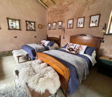 Chambo House | Ayni House