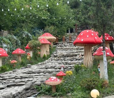 Quba Apartment | Aysu Village