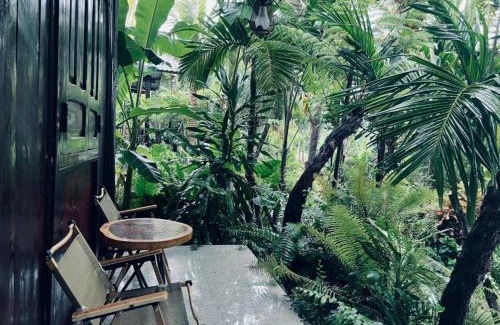 Xuyen Moc Cabin | Bình Châu Homestay