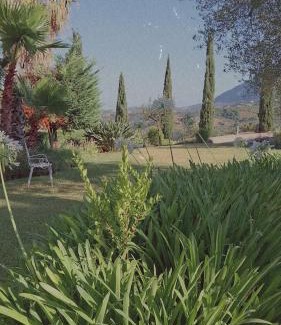 Cicerale Bed & Breakfast | B&B casa73