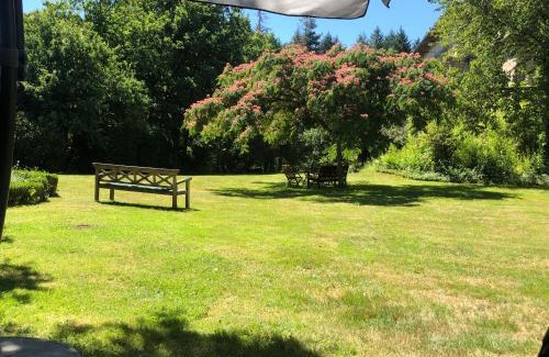 Saint-Julien-aux-Bois Bed & Breakfast | B&B Chateau le Bois
