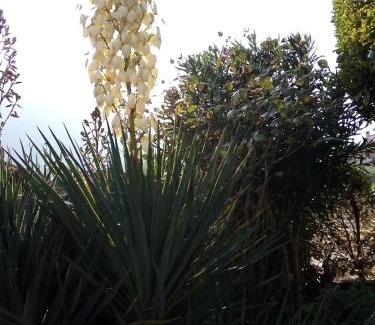 Tavernola Bed & Breakfast | B&B Curtif
