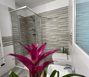 San Vito al Tagliamento Apartment | B&B da Mimì