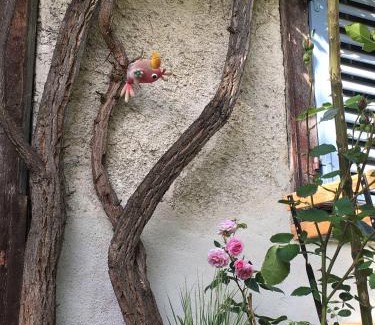 Ferrette Bed & Breakfast | B&B de charme La Maison des 5 Temps