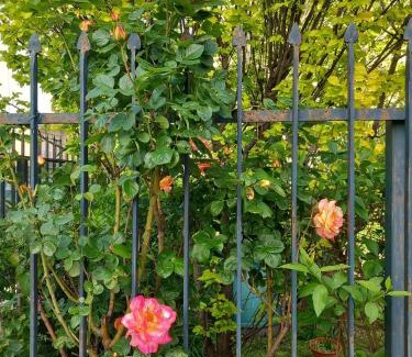 Crema Bed & Breakfast | B&B delle Arti