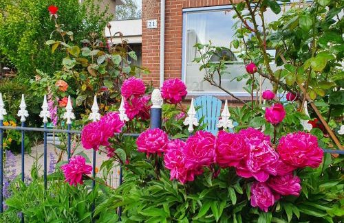Wijdewormer Bed & Breakfast | B&B Evergreen