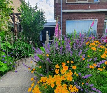 Wijdewormer Bed & Breakfast | B&B Evergreen