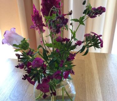 Harich Bed & Breakfast | B&B Gaasterland