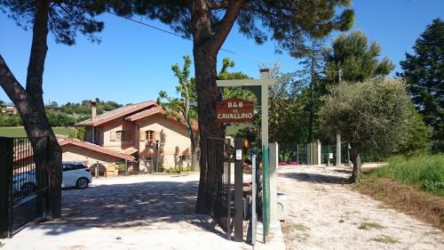 Civitanova Alta Bed & Breakfast | B&B Il Cavallino