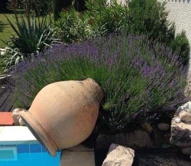 Pusignan Bed & Breakfast | B&B Insolite entre Lyon et aéroport