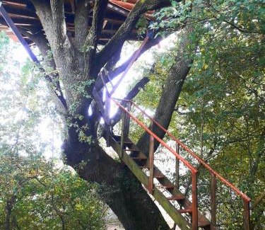 Mones Bed & Breakfast | B&B La Cabane Insolite