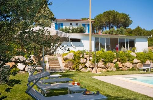 Marmi Bed & Breakfast | B&B La Casa degli Ulivi