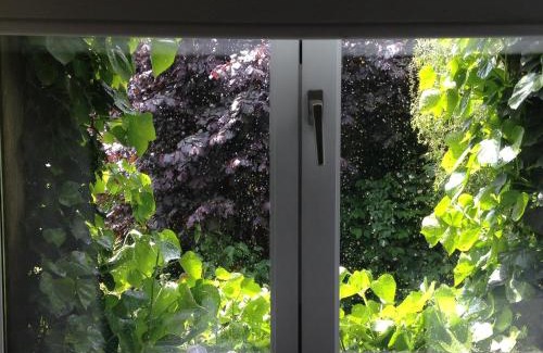 Liege Bed & Breakfast | B&B Matin Tranquille