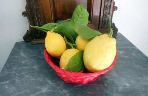Vico Equense Bed & Breakfast | B&B Stella