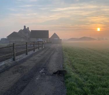 Wingene Bed & Breakfast | B&B 't Hoveke