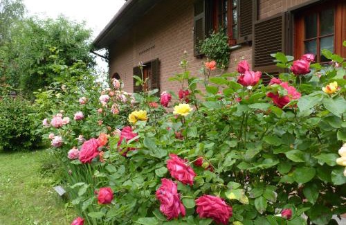 Cosseria Bed & Breakfast | B&B The Roses Garden