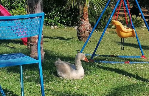 Campagna Bed & Breakfast | B&B Villa Molinari Restaurant e Baby Park