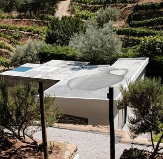 Sao Joao da Pesqueira House | BABhouse Villa Jardim das Oliveiras