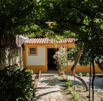 Sao Joao da Pesqueira House | BABhouse Villa Jardim das Laranjeiras