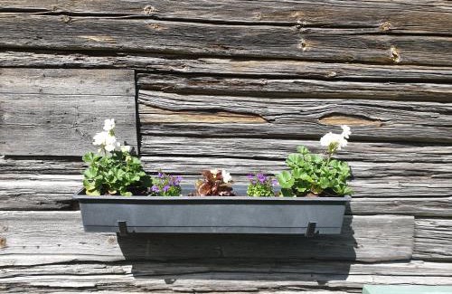Tallberg Apartment | Backhansgården I Plintsberg