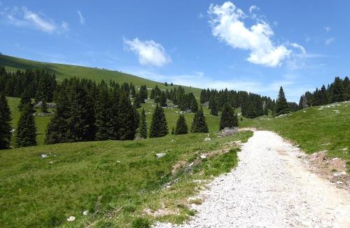 Lozzo di Cadore Apartment | Baita La Ciamorza Dolomiti - Veneto