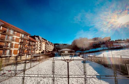 Bakuriani Apartment | Bakuriani Mgazavrebi block 2 apartment 207