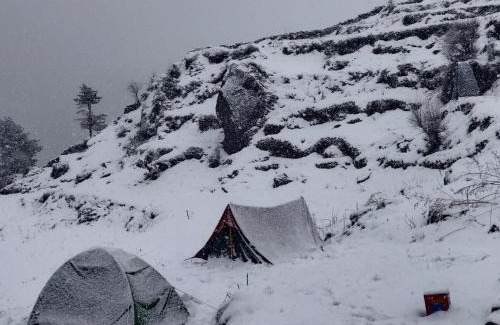 Auli Other | Balaji Camps