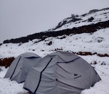 Auli Other | Balaji Camps