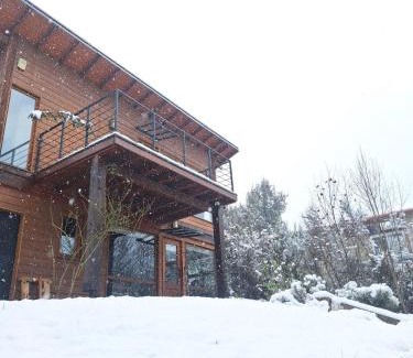 Angostura Cabin | Balcones del Sayhueque