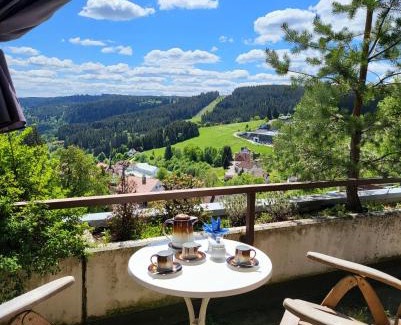 Schonach im Schwarzwald Apartment | Balcony-Apartment next to the forest