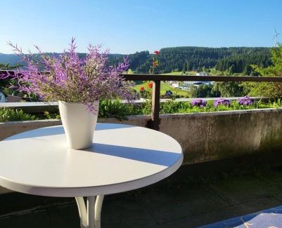 Schonach im Schwarzwald Apartment | Balcony-Apartment next to the forest