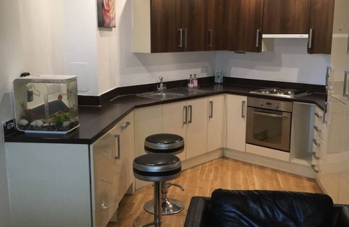 Tower Hamlets Apartment | Balcony apartment with WiFI. 15 min to Canary Wharf, 20 min to Liverpool Street