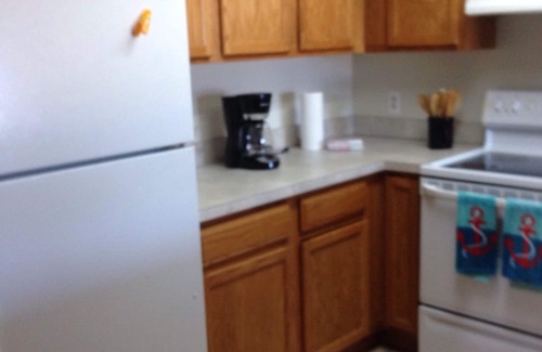 Ortonville Condo | Bald Eagle All Sports Lakefront 2 BR Condo