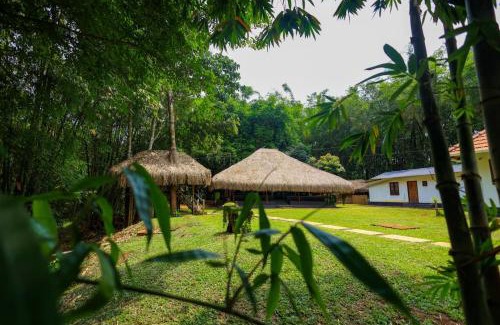 Mananthavady Bed & Breakfast | Bamboo Grove