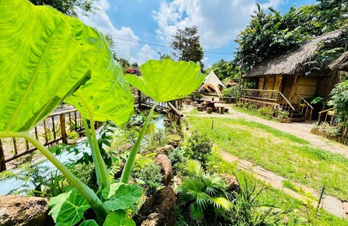 Xuyen Moc House | Bamboo House At Peaceful Countryside Ho Tram