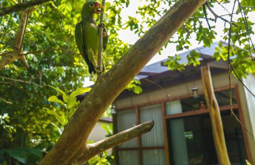 Las Horquetas Hotel | Bamboo River Lodge