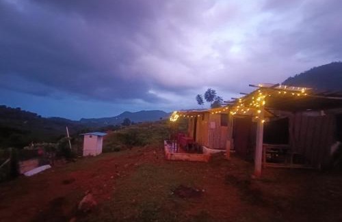 Wellington House | Bambootentstay