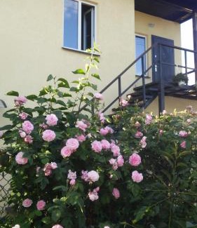 Darnyckyj Apartment | Bambukovyi Gai
