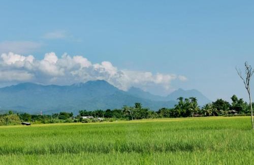 Si Kham Resort | Ban Din Resort Chiang Rai
